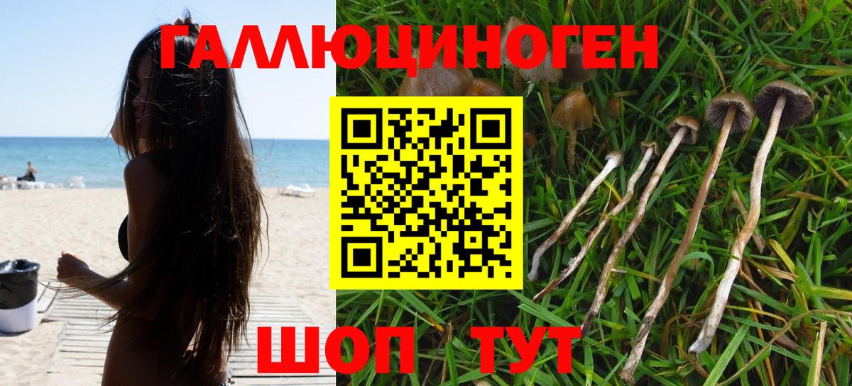 Псилоцибиновые грибы MAGIC MUSHROOMS Родники